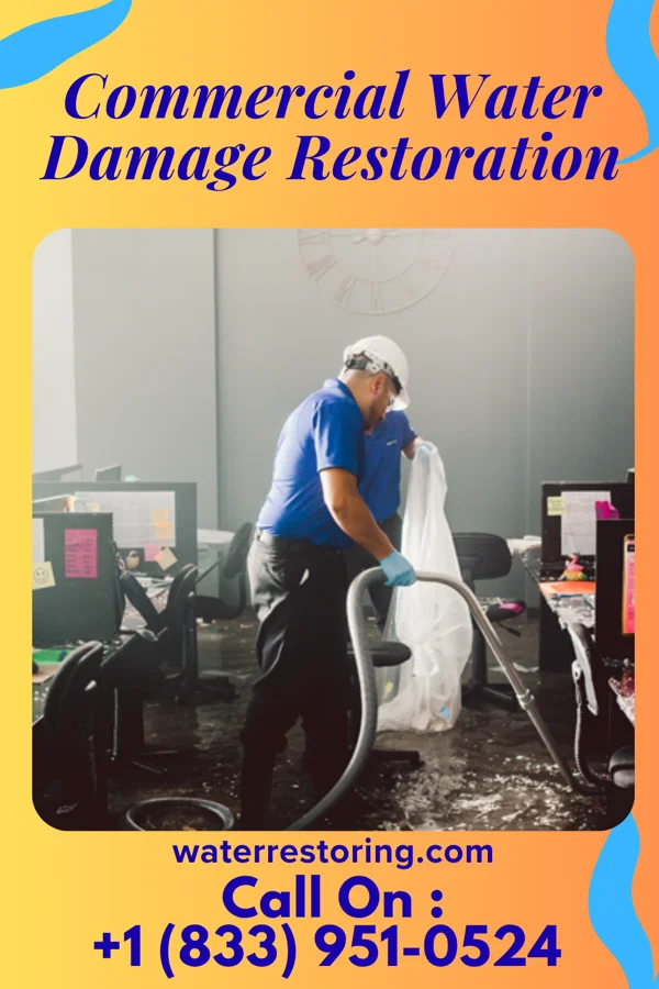 Commercial Water Damage Restoration in Meservey, IA